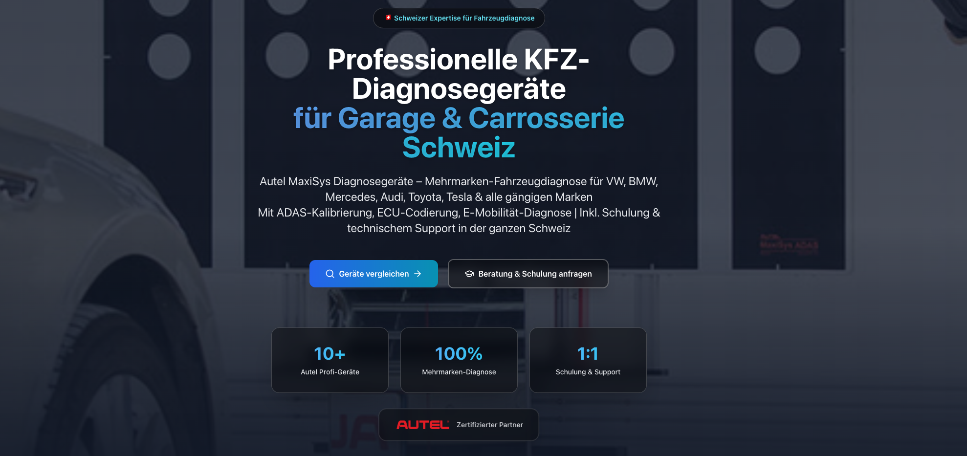 Fahrzeugdiagnostik Webseite Screenshot